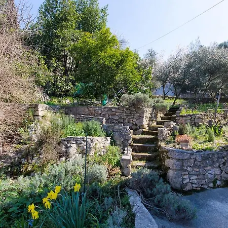 Lada * سوبيتار